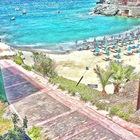Villa D&a View Luxury 60meters From The Sea *